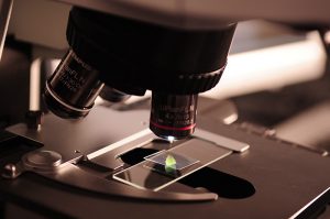 Фармкомпании призвали Минздрав России отложить регистрацию первой вакцины от СOVID-19, разработанной в НИИ имени Гамалеи
